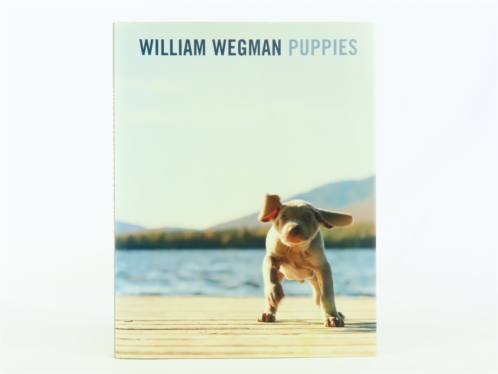 Puppies by William Wegman ©1997 HC Book
