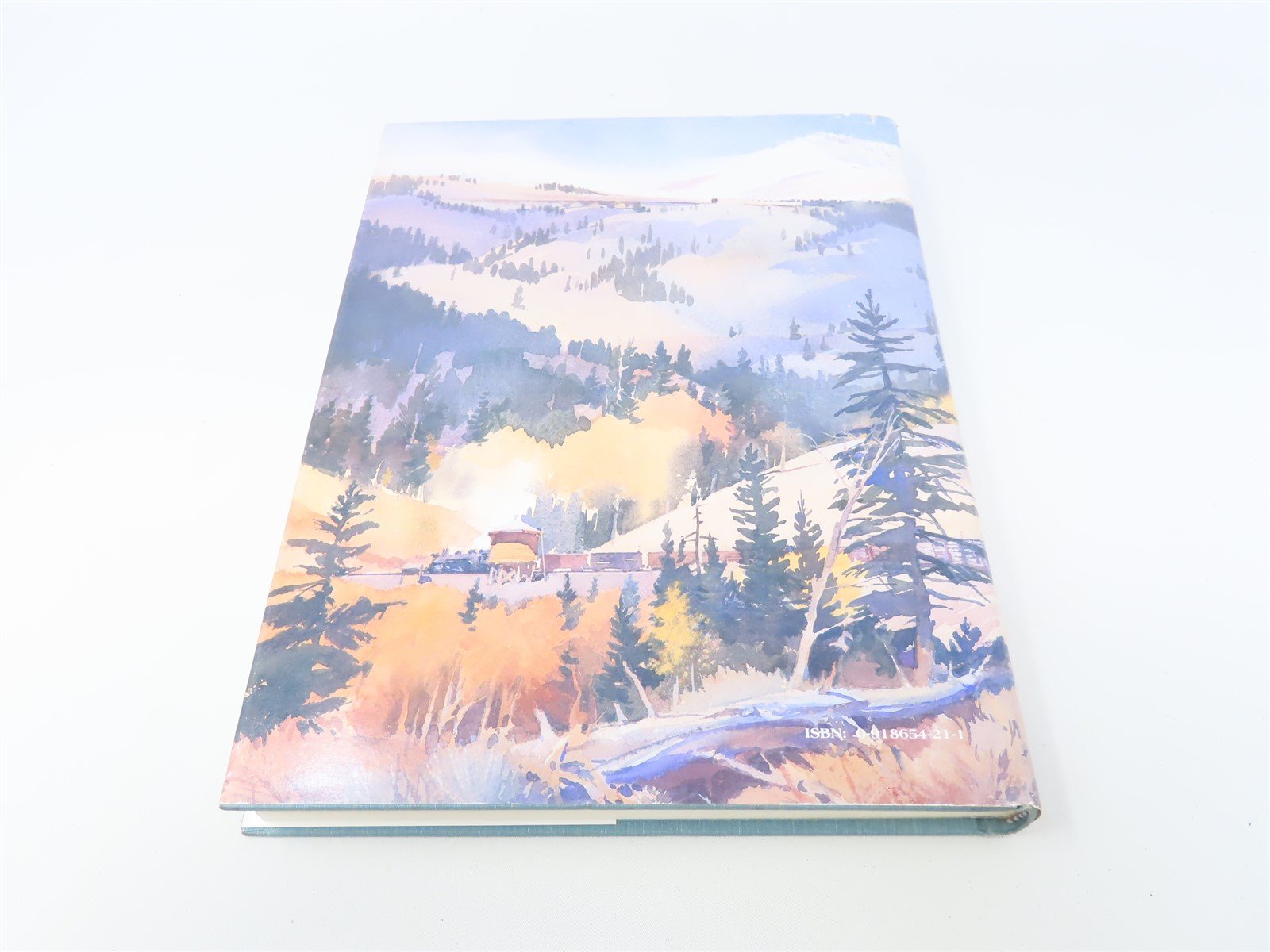 CRM Annual No. 21 Narrow Gauge News by Robert W Richardson ©1994 HC Book