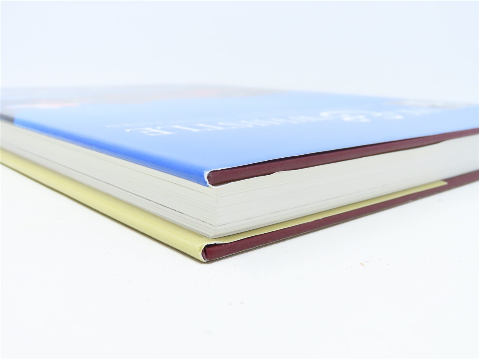 Pig & Whistle by Ronald DeGraw ©2007 HC Book