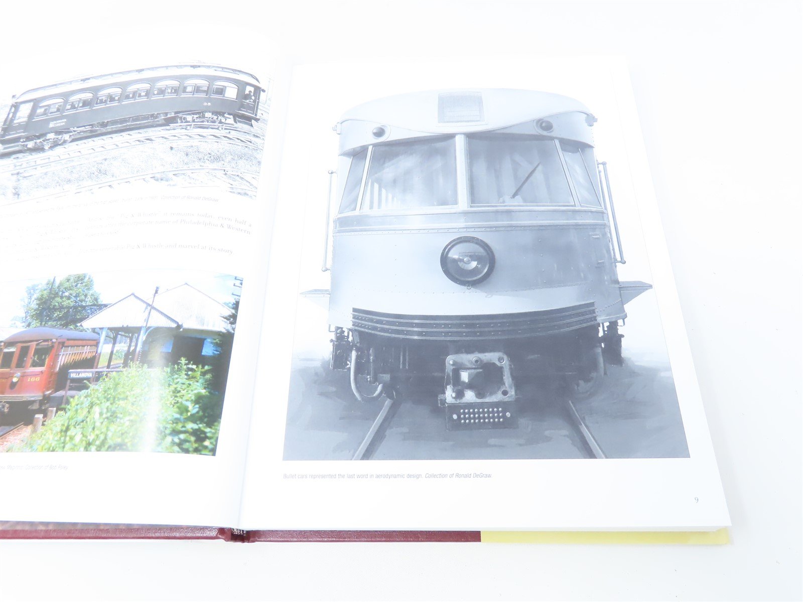 Pig & Whistle by Ronald DeGraw ©2007 HC Book