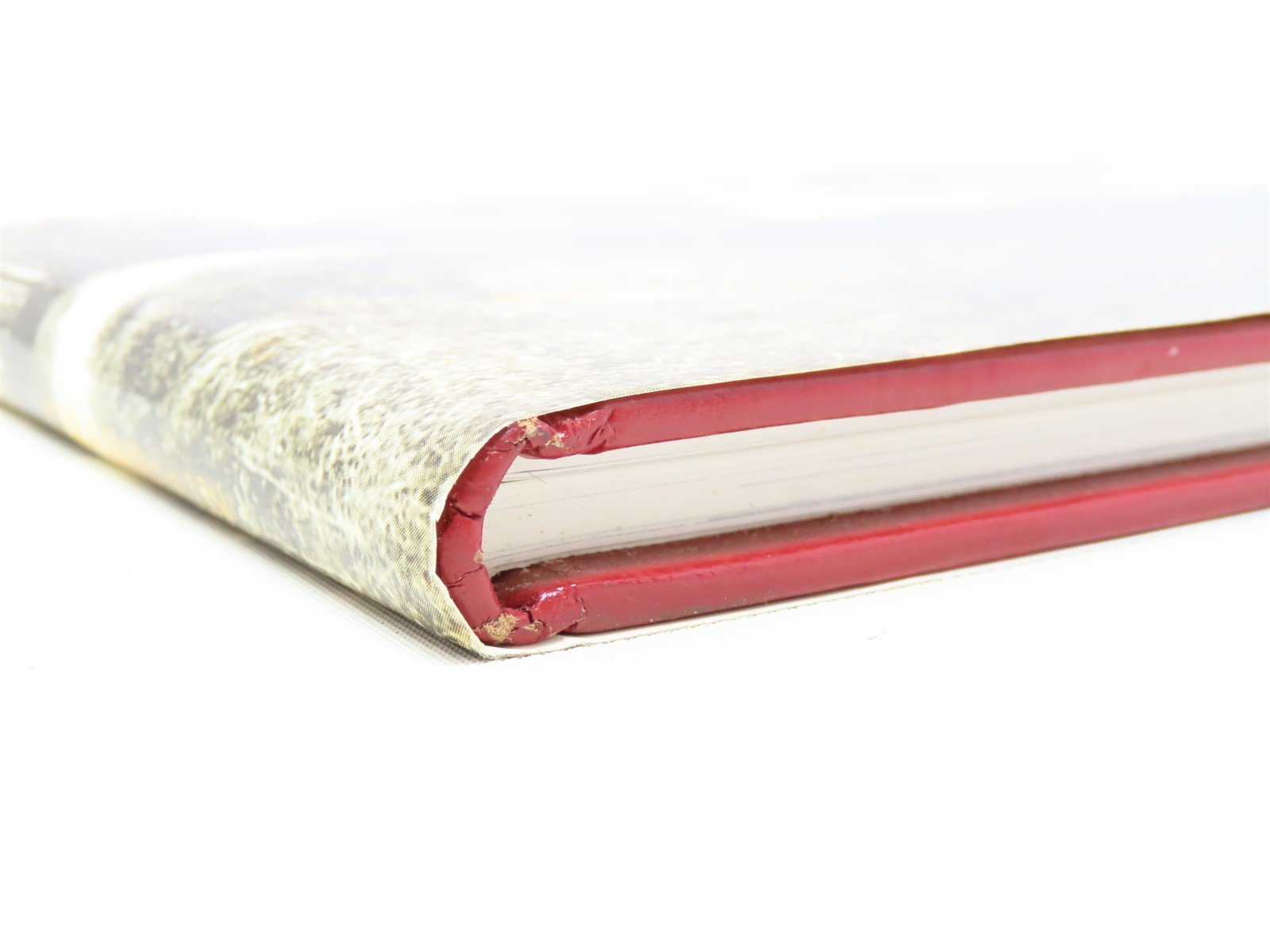 Not Only Passengers by James R McFarlane & Roy Benedict ©1992 HC Book