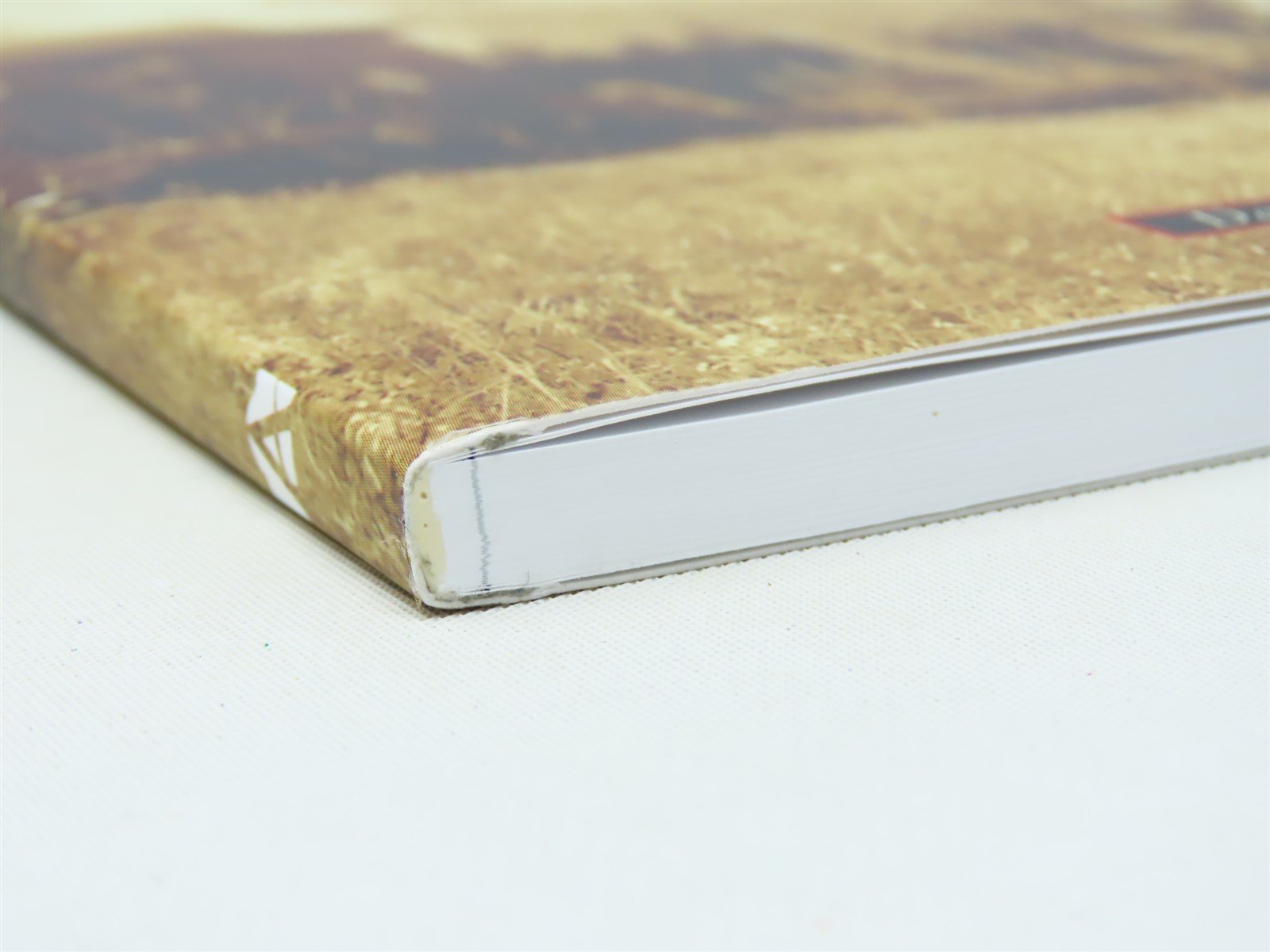 Images of Rail -Rails in the North Woods by Daniel L. Osborne ©2013 SC Book