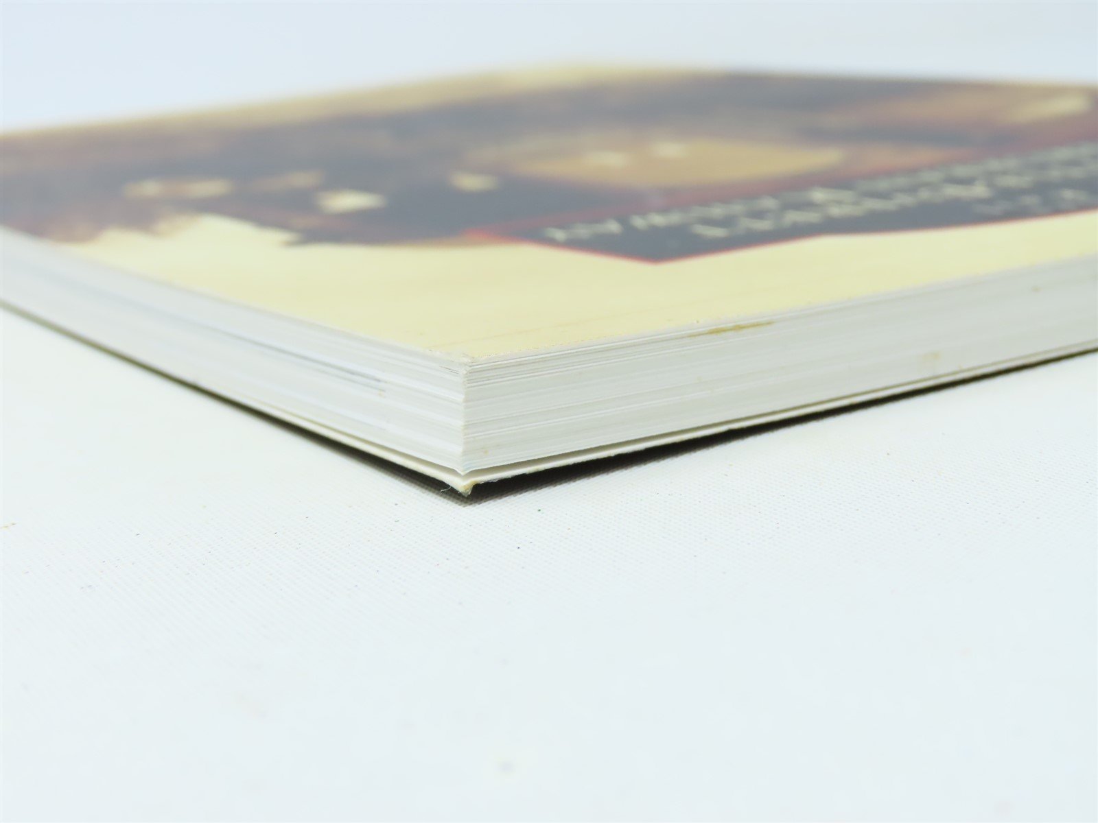 Images of Rail -Seattle-Everett Interurban Railway by Ryan & Stadler ©2010 SC Bk