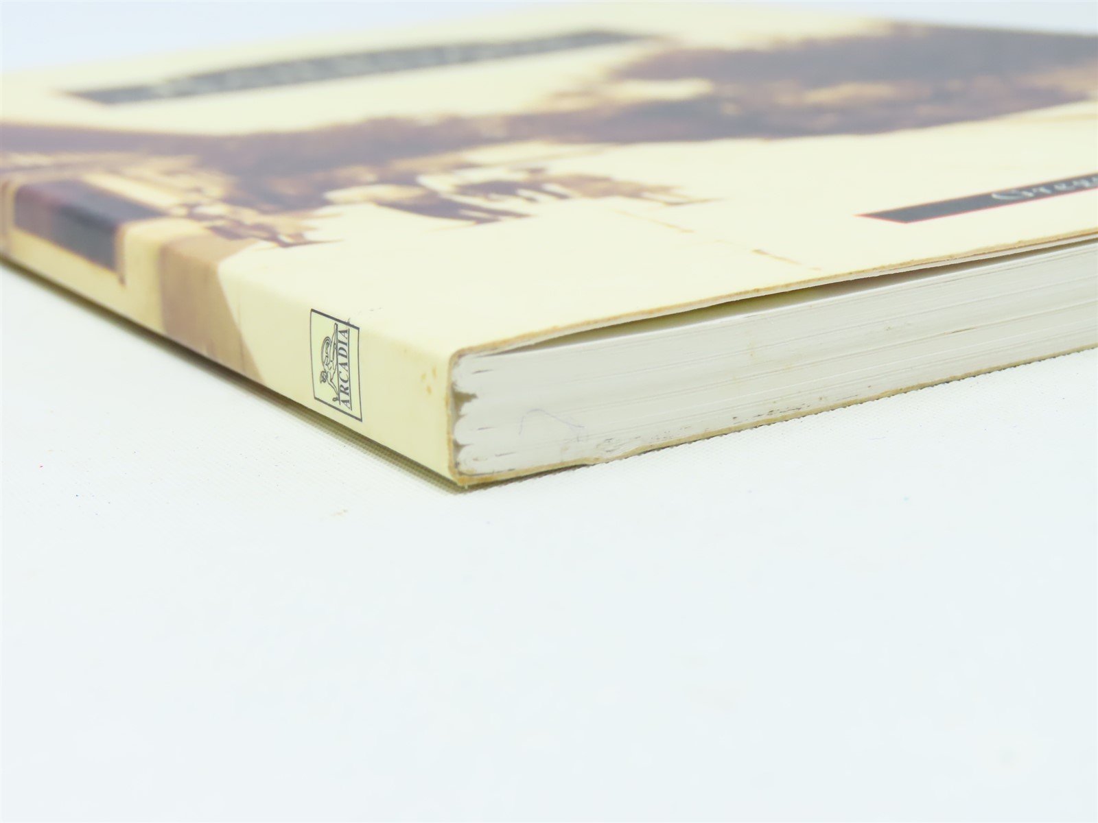 Images of America -Railroads of Southwest Florida by Gregg M. Turner ©2000 SC Bk