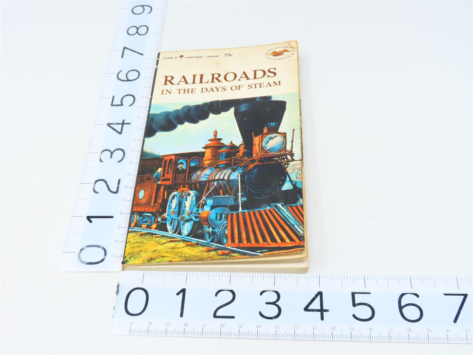 Railroads In The Days of Steam by Albert L McCready ©1960 SC Book