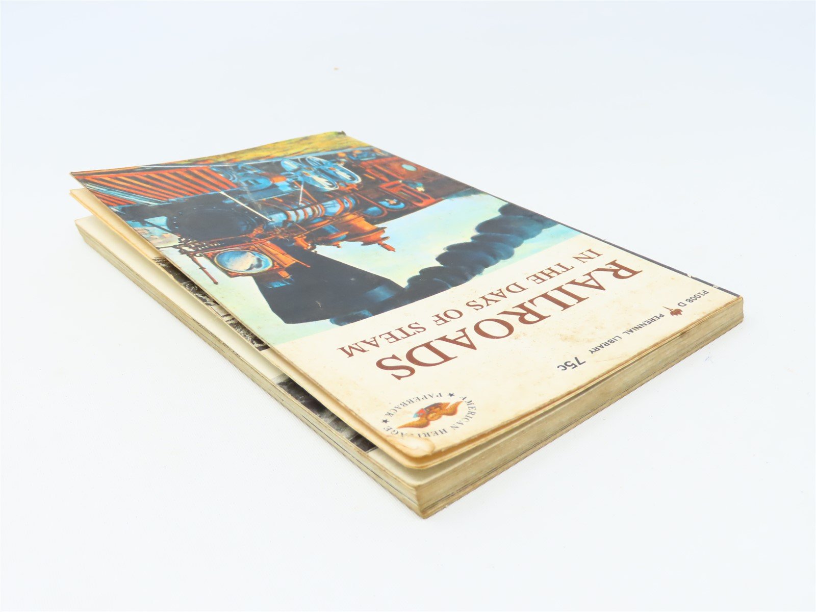 Railroads In The Days of Steam by Albert L McCready ©1960 SC Book