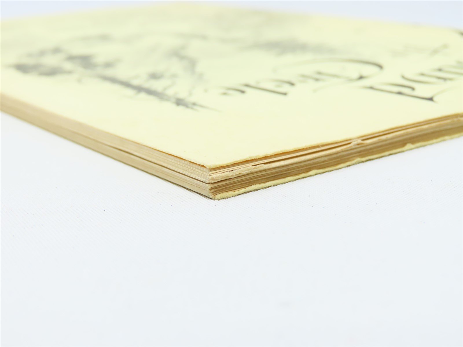 Around The Circle 1000 Miles Through The Rocky MTs by Edwin L Sabin ©1913 SC Bk