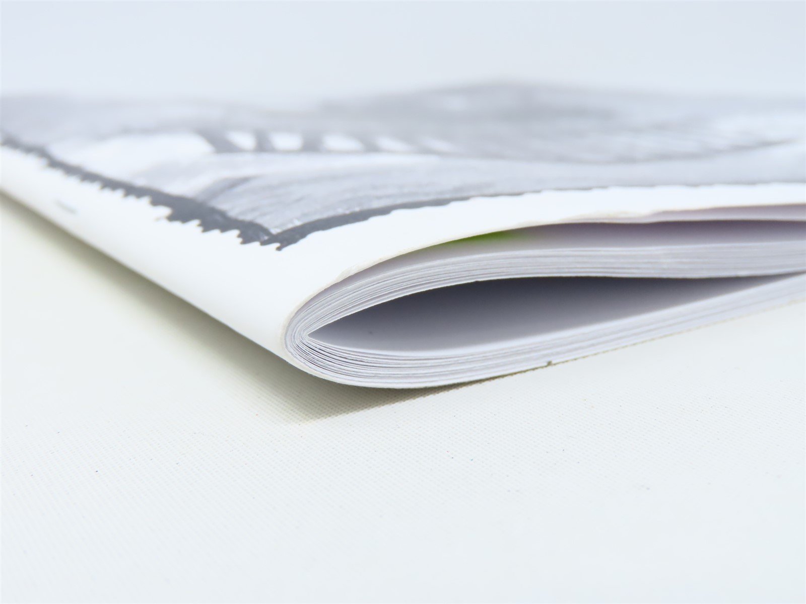 The Little Falls Railroad by Jim Brown & Clifford J Vander Yacht ©2000 SC Book