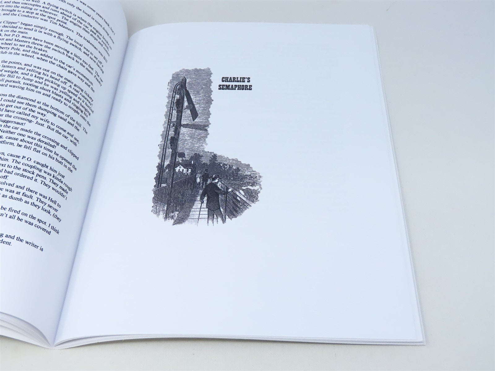 The Little Falls Railroad by Jim Brown & Clifford J Vander Yacht ©2000 SC Book