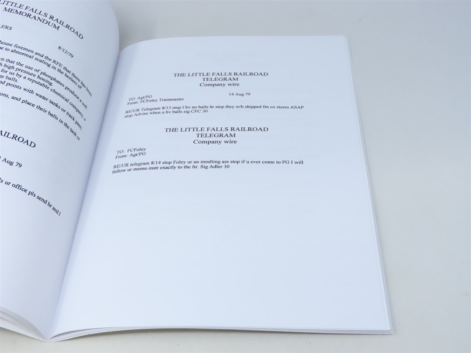 The Little Falls Railroad by Jim Brown & Clifford J Vander Yacht ©2000 SC Book