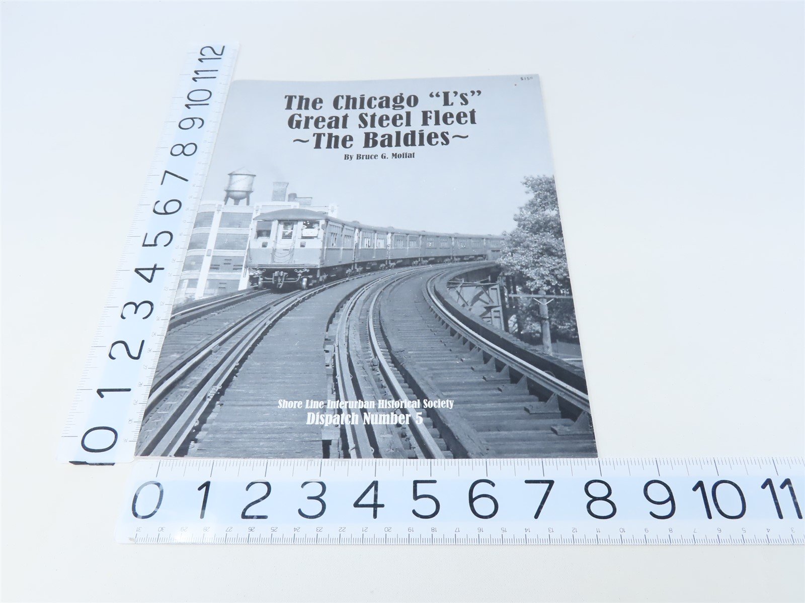 The Chicago L's Great Steel Fleet by Bruce G Moffat ©2014 SC Book