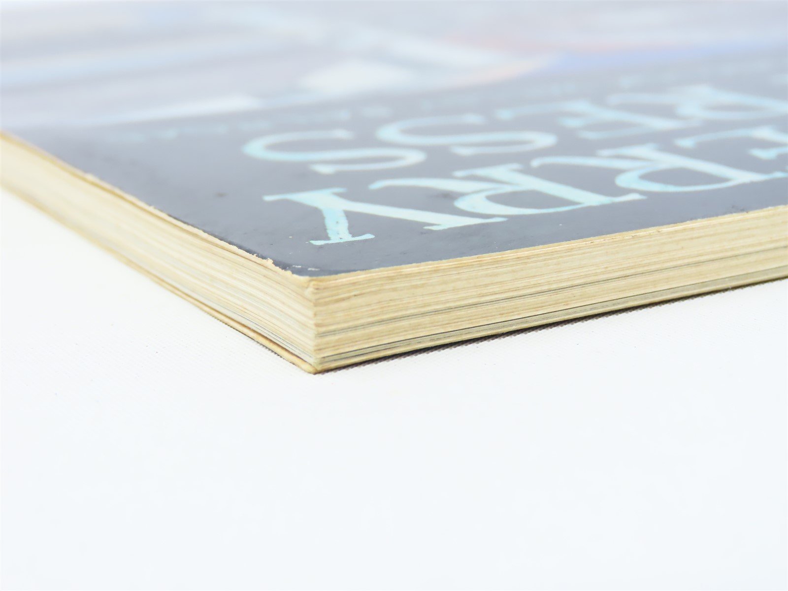 The Blueberry Express by John C. Hutchins ©1985 SC Book