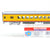 HO Walthers First Edition #932-9530 UP Union Pacific ACF Coach Passenger w/COA