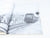 Chesapeake & Ohio Diesel Review by Carl W. Shaver ©1982 SC Book