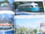 Morning Sun Baltimore & Washington Trolleys In Color by King ©2006 HC Book
