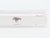 N Scale Micro-Trains MTL 46900101 National Fast Freight 53' Corrugated Container