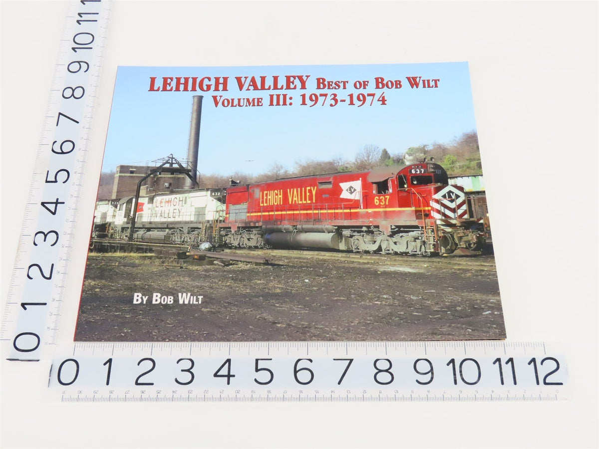 Morning Sun: Lehigh Valley Volume III: 1973-1974 by Bob Wilt ©2018 SC Book