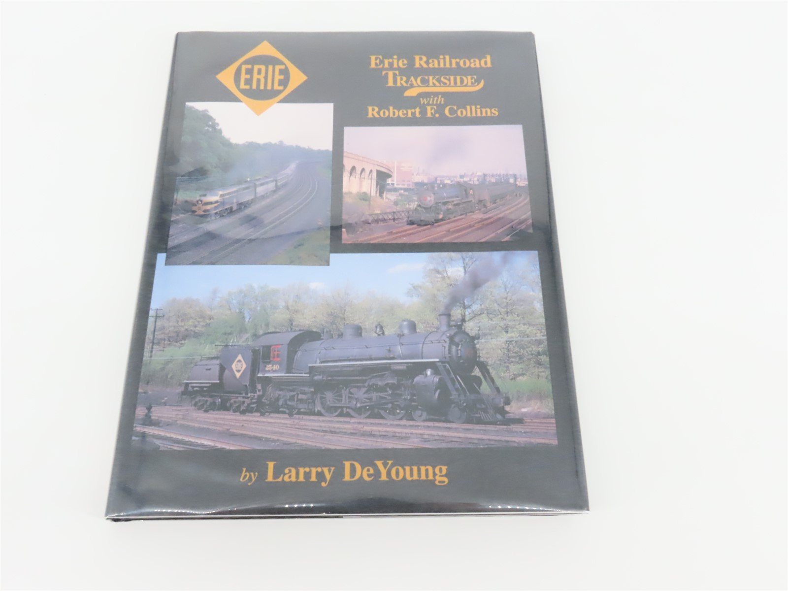 Morning Sun: Erie Railroad Trackside With Robert Collins by Larry DeYoung ©1998