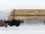 N Scale Micro-Trains MTL 11300710 Disconnect Log Car w/ Load