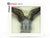 G 1/25 Scale Preiser Elastolin 47711 American Eagle Animal Figure - Sealed