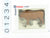 G 1/25 Scale Preiser Elastolin 47001 Bull Standing Animal Figure