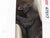 G 1/25 Scale Preiser Elastolin 47517 Bear Standing Upright Figure
