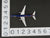 1:400 Gemini Jets GJATA086 Die-Cast ATA 25th Boeing 757-23N Aircraft N520AT