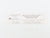 HO Scale IHC Premier 49004 ACL Atlantic Coast Line HW Observation Passenger #301