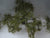 N /HO Scale JTT Scenery Products 94430 2