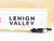 N Scale Bachmann Silver 70577 TLDX Lehigh Valley 4-Bay Covered Hopper #2730