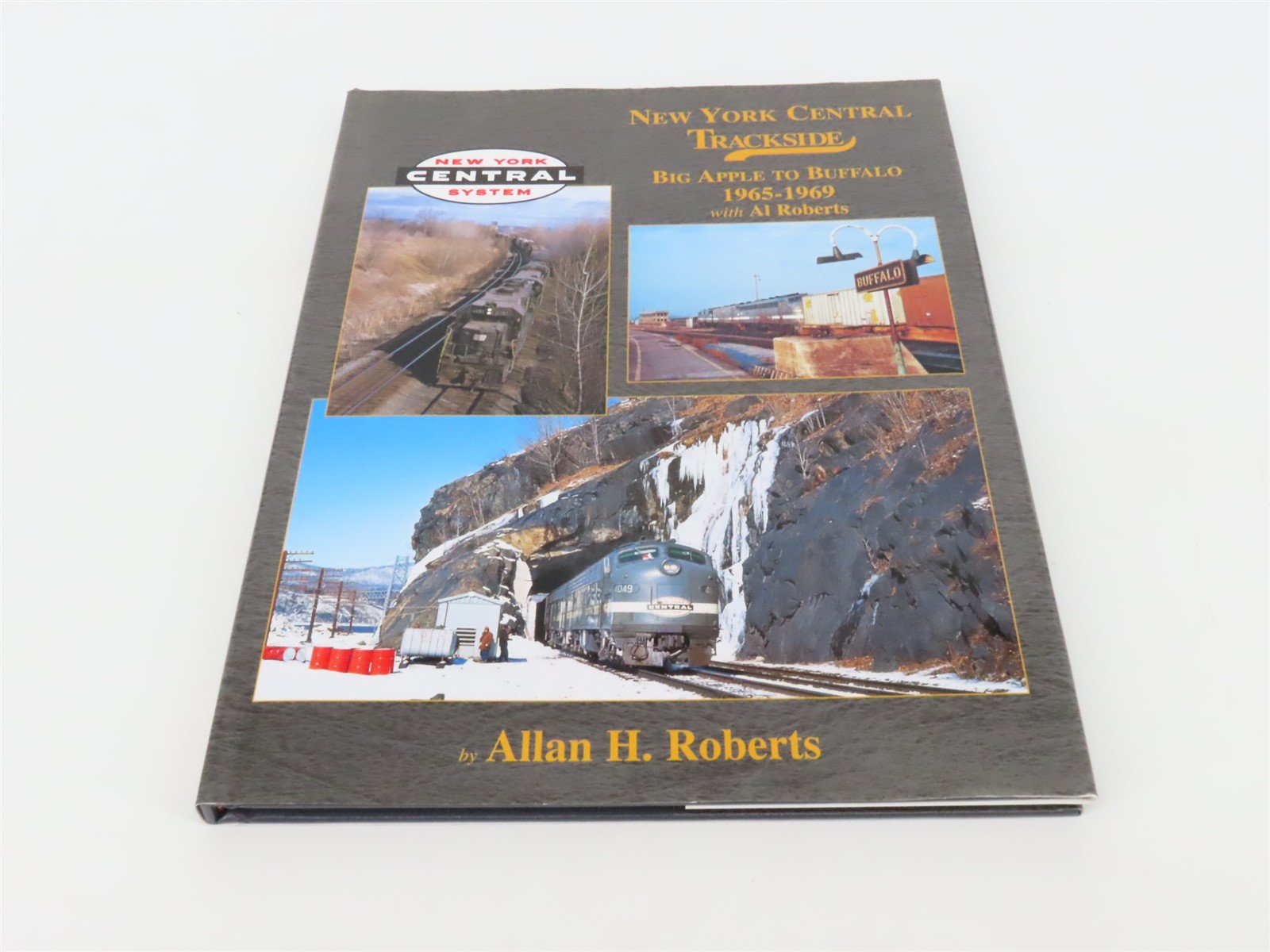 Morning Sun New York Central Trackside Big Apple To Buffalo by AH Roberts ©2012