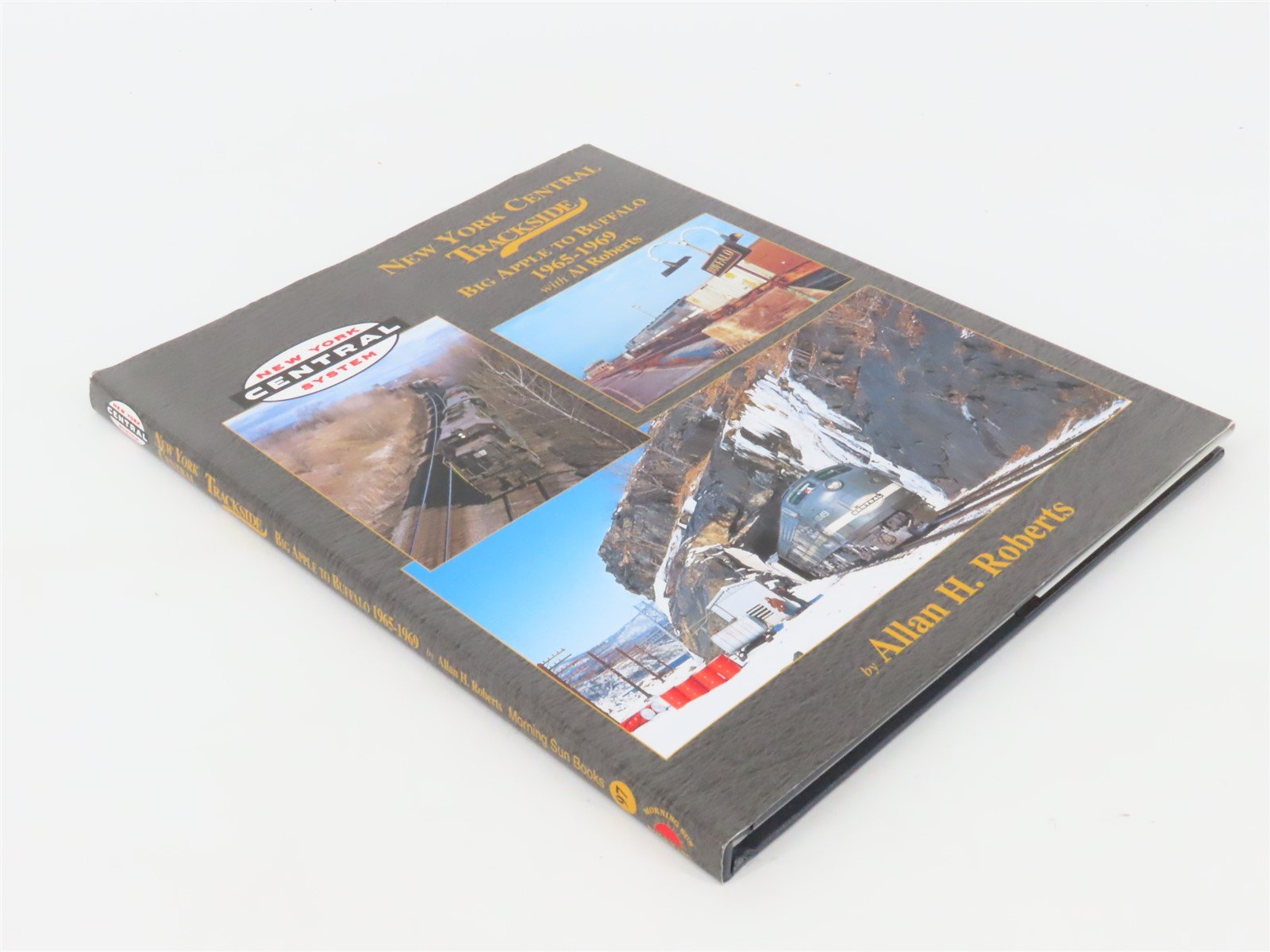 Morning Sun New York Central Trackside Big Apple To Buffalo by AH Roberts ©2012