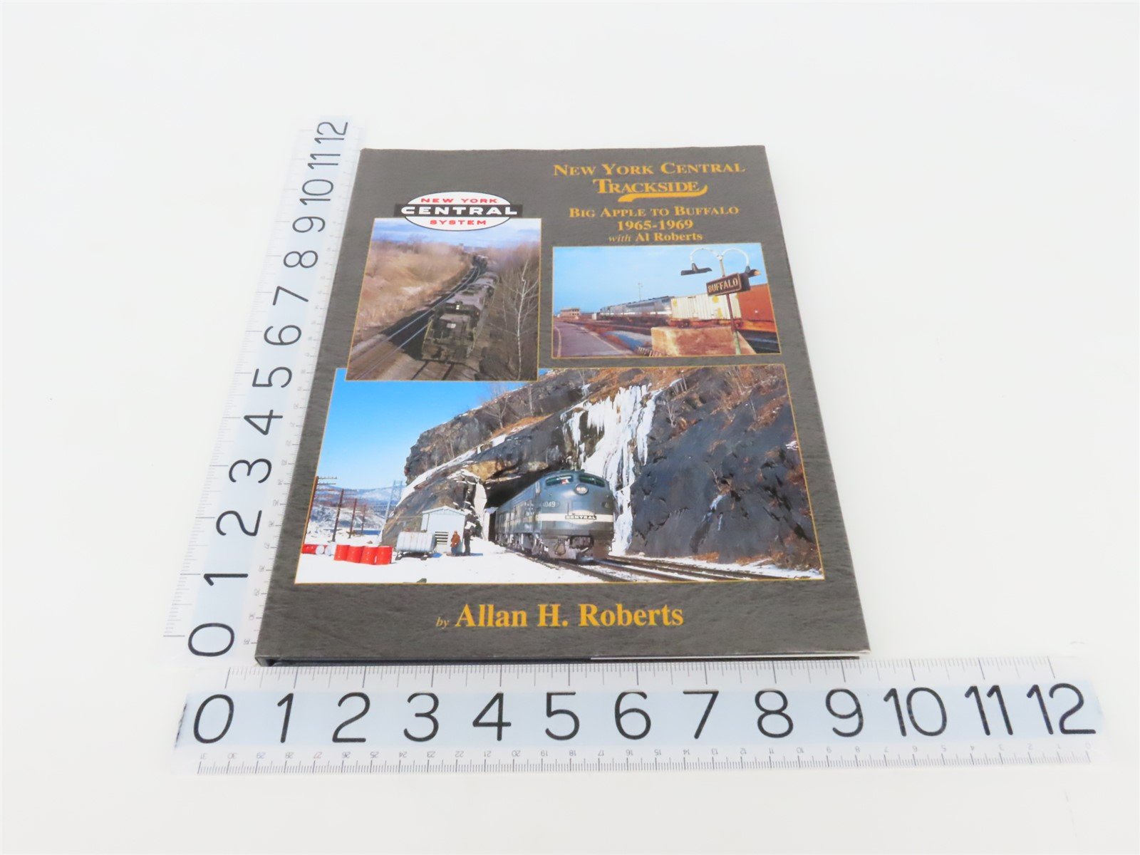 Morning Sun New York Central Trackside Big Apple To Buffalo by AH Roberts ©2012