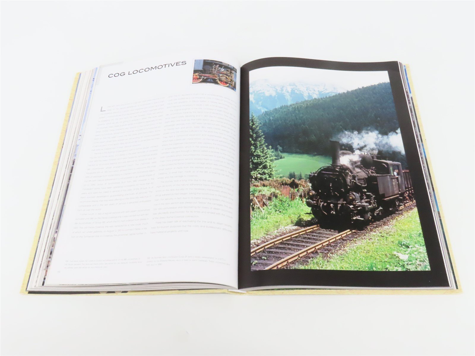 Trains From Steam Locomotives To High Speed Rail by Franco Tanel SC Book