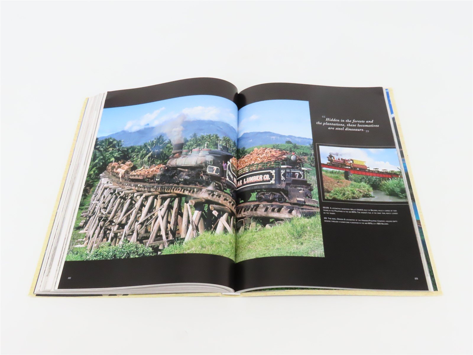 Trains From Steam Locomotives To High Speed Rail by Franco Tanel SC Book