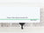 N Scale Micro-Trains MTL 67140 BN Intermodal Denver 45' Trailer BNZ 237845