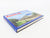 Amtrak by The Numbers by David C. Warner & Elbert Simon ©2011