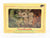 Multi-Scale Tru-Scale Scenic Surroundings No. 602-98 Premium Norwegian Liken