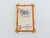 Scientific Kit #169 Collector's Series HMS Bounty Wood Ship Model