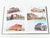 Cotton Belt Color Pictorial by Steve Allen Goen HC Book