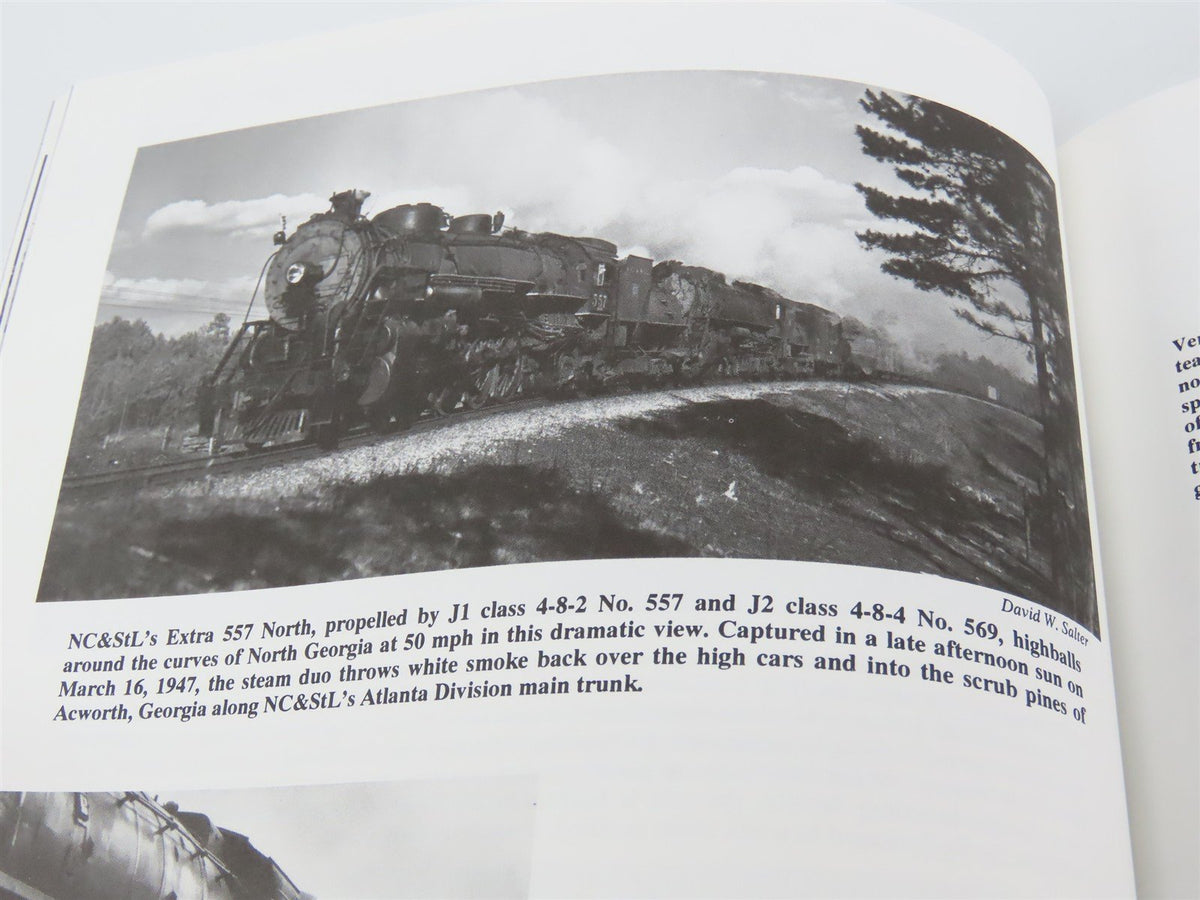 Nashville, Chattanooga &amp; St. Louis Railway The Dixie Line by Castner ©1995 HC Bk