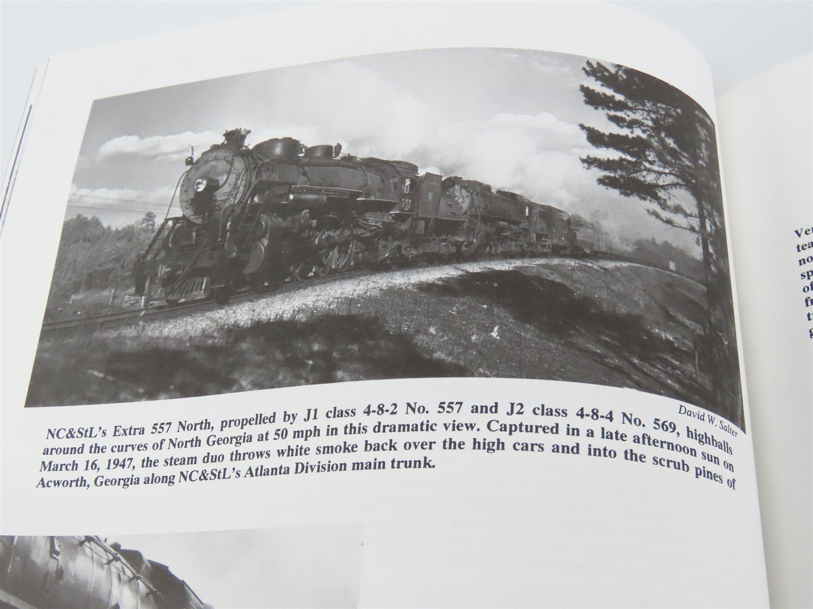 Nashville, Chattanooga & St. Louis Railway The Dixie Line by Castner ©1995 HC Bk