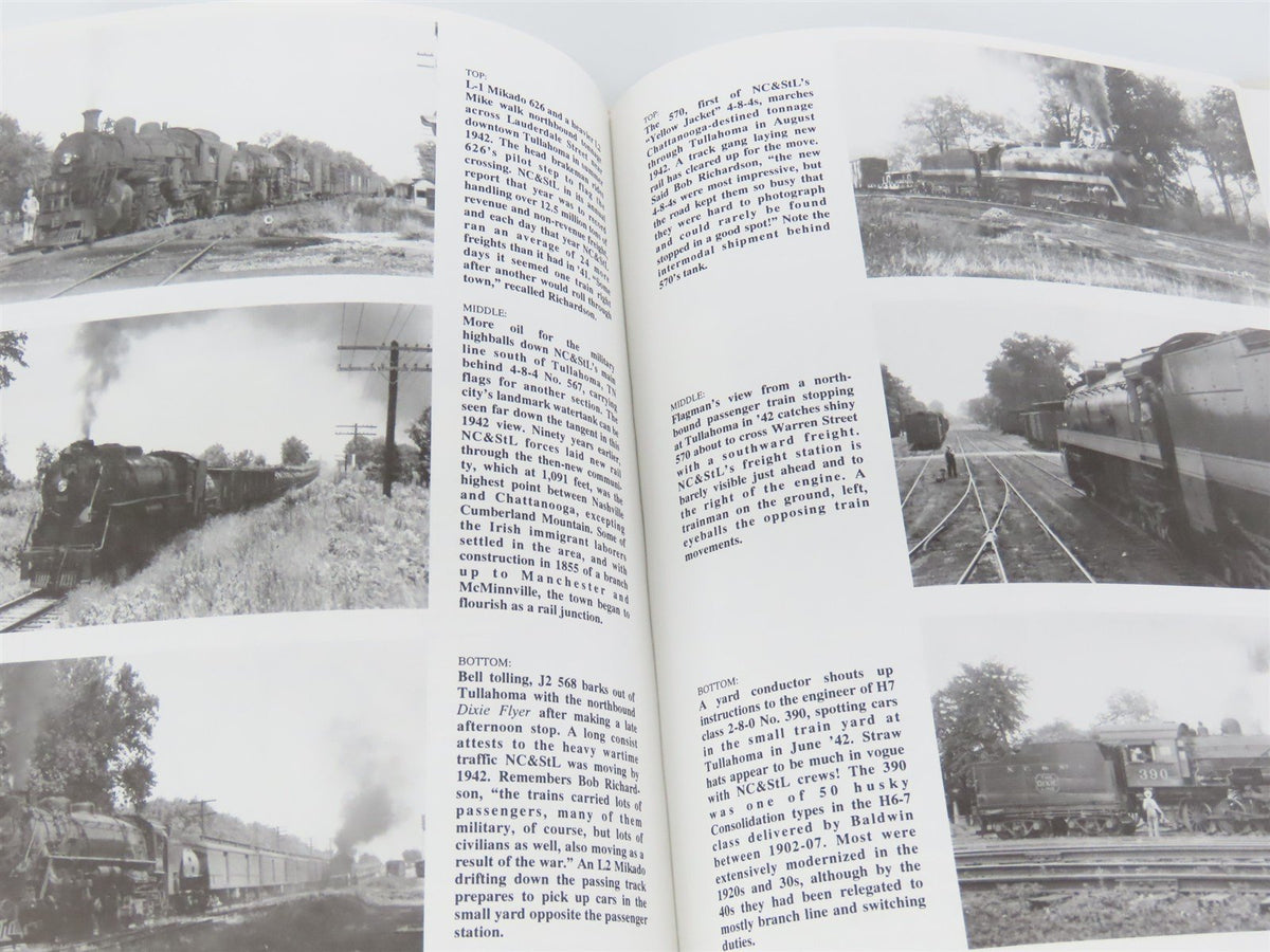 Nashville, Chattanooga &amp; St. Louis Railway The Dixie Line by Castner ©1995 HC Bk