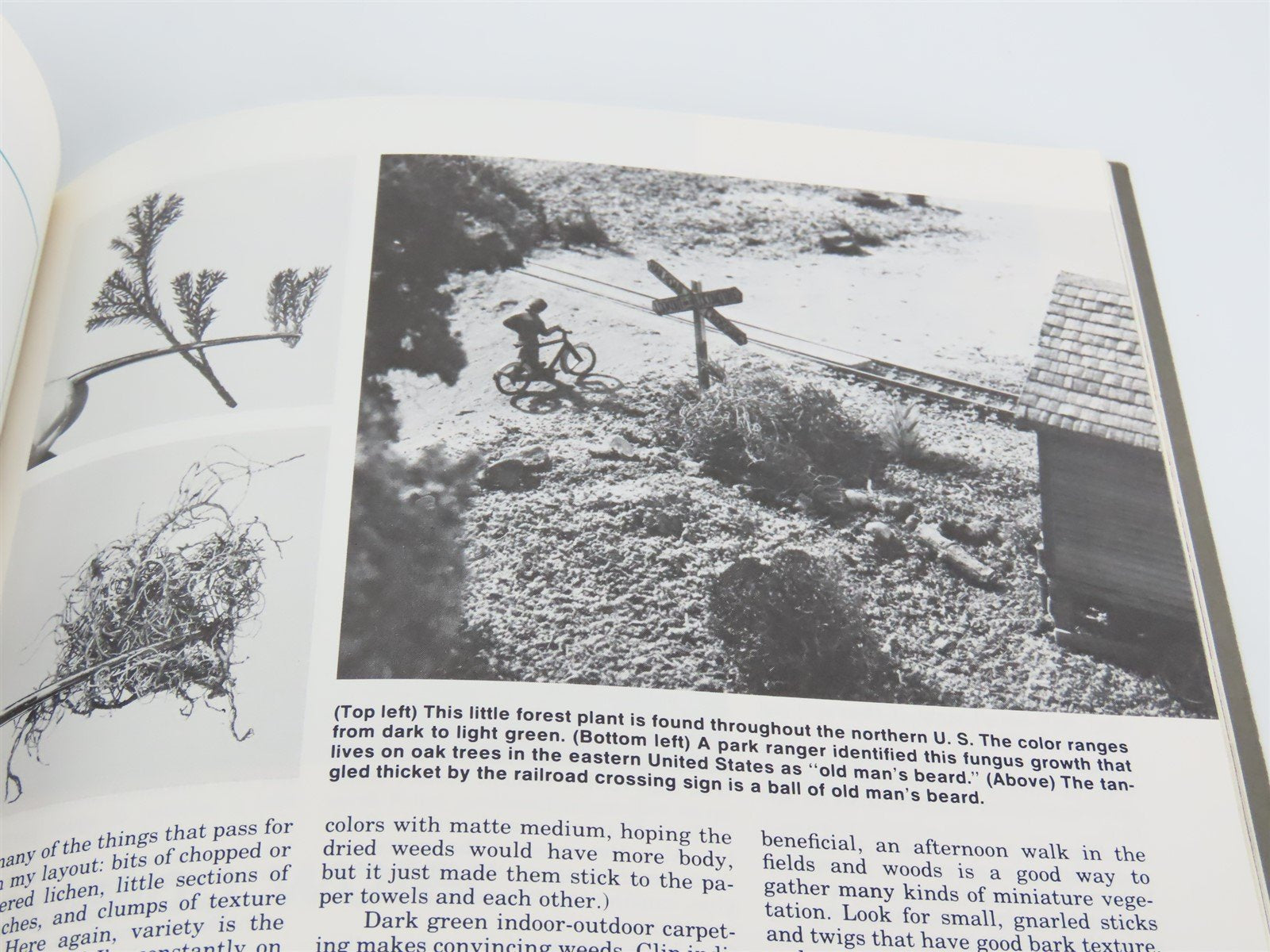 How To Build Realistic Model Railroad Scenery by Dave Frary ©1988 SC Book