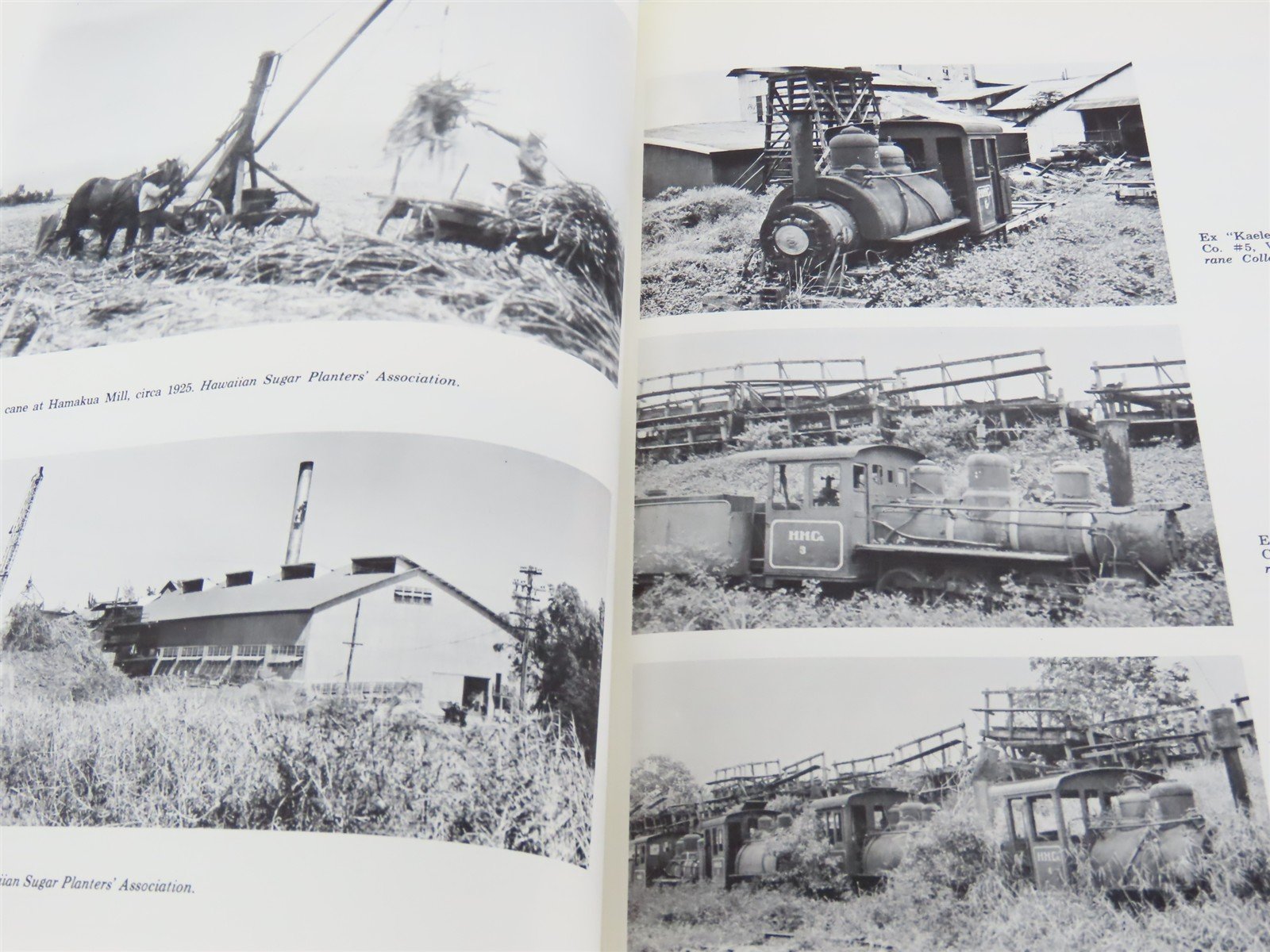 Sugar Trains Narrow Gauge Rails Of Hawaii by Condé & Best ©1973 HC Book