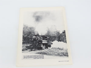 Brazilian Steam Album Volume I - Plus & Minus Two Footers by Hahmann & Small