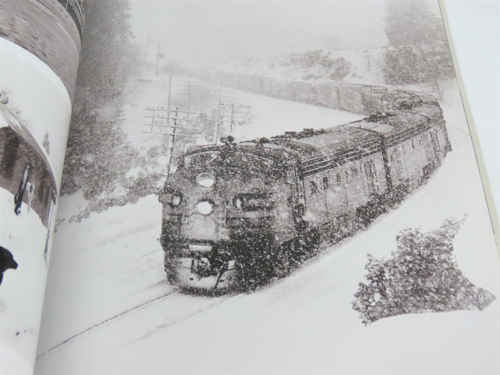 Done Honest & True - Richard Steinheimer's Half Century of Rail Photography SC