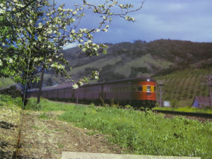 Morning Sun: Southern Pacific Color Photography Vol. 1 by Anthony Thompson ©2000