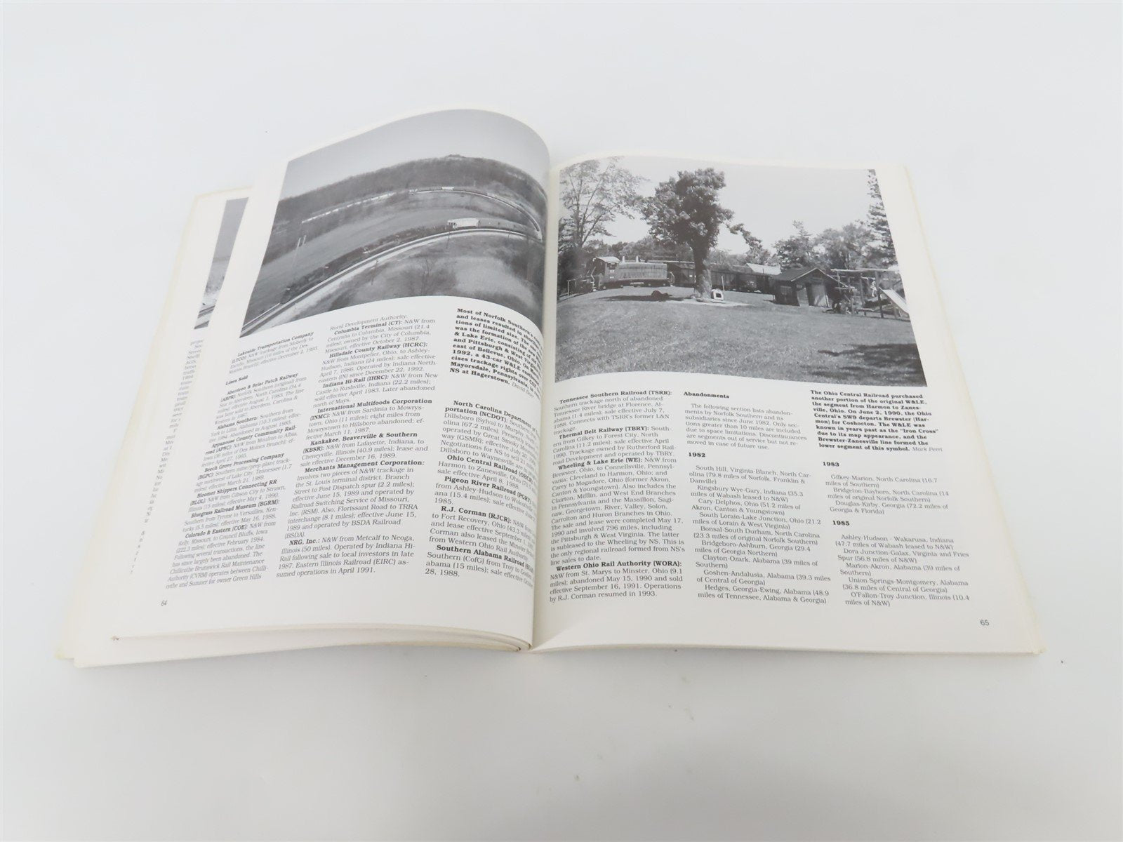 Norfolk Southern 1995 Review by Scott Lindsey ©1995