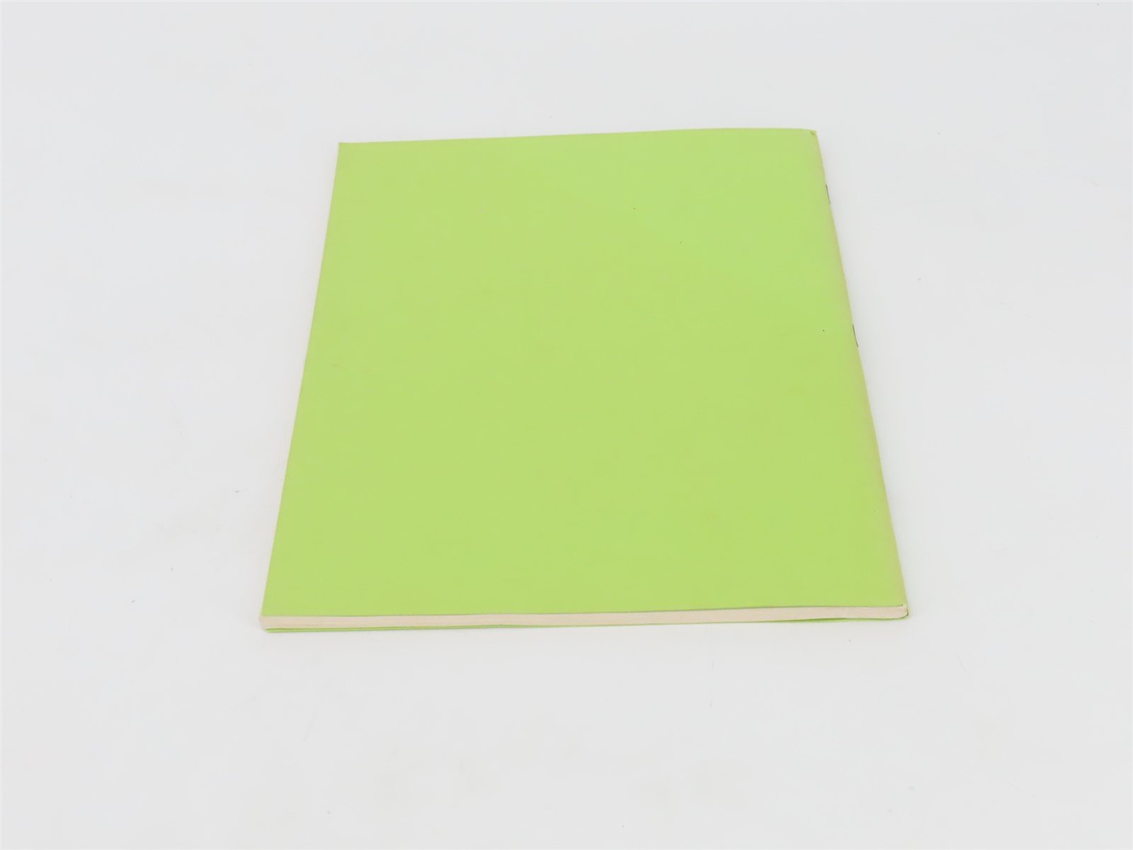 Allegheny Valley Logging Railroads by Walter C. Casler ©1978 SC Book No. 11